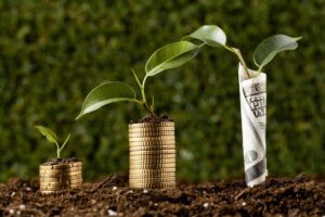 Renda fixa: entenda como funciona! Imagem: FreePik