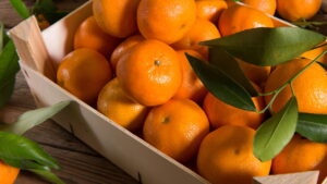 Tangerina em casa, guia completo para plantar e colher a fruta