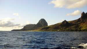 O lugar no Brasil com floresta de samambaias gigantes e segredos de piratas