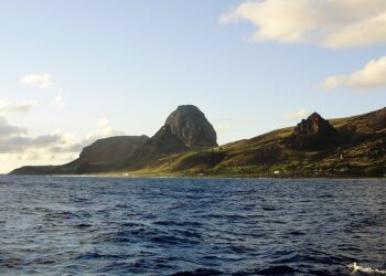 O lugar no Brasil com floresta de samambaias gigantes e segredos de piratas