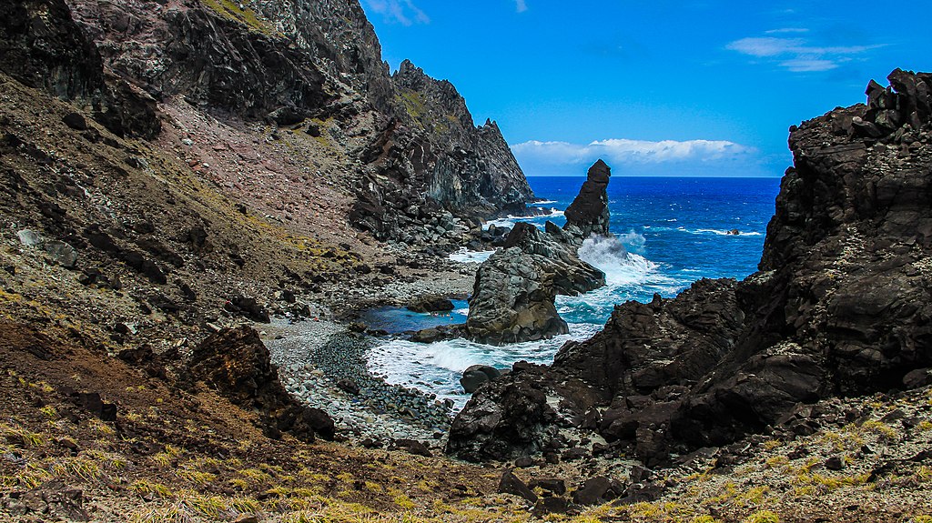 O lugar no Brasil com floresta de samambaias gigantes e segredos de piratas