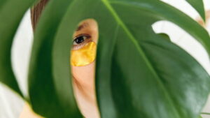 Conheça a incrível plantinha que cura, alimenta e ainda decora sua casa