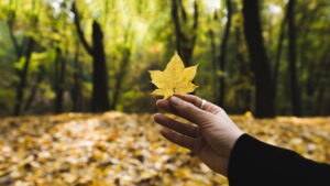 Melhores destinos de viagem por estação para curtir o ano inteiro