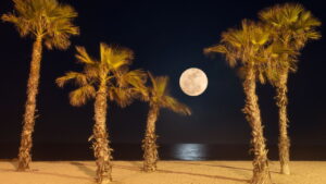 Como aproveitar a vida noturna em Natal com baladas, passeios e atrações imperdíveis
