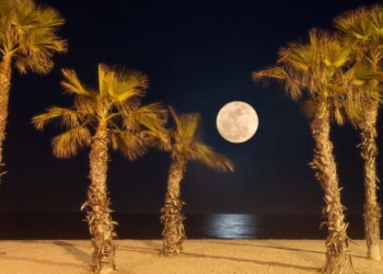 Como aproveitar a vida noturna em Natal com baladas, passeios e atrações imperdíveis