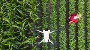 A revolução da inteligência artificial na agricultura sustentável