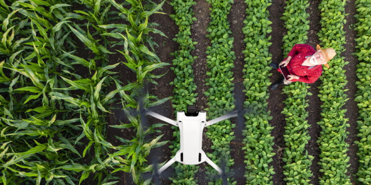 A revolução da inteligência artificial na agricultura sustentável