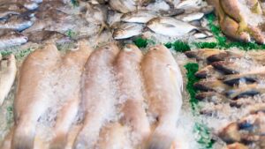 bacalhau