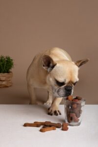 Chocolates para pets causam intoxicação! Imagem: FreePik
