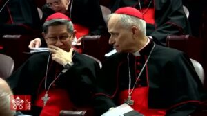novo papa