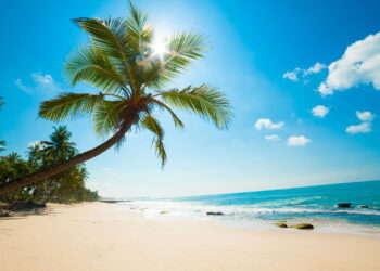 Melhores destinos de praia no Brasil para relaxar e renovar as energias