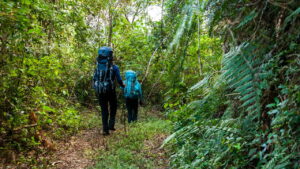 A cidade brasileira que virou o paraíso da aventura urbana