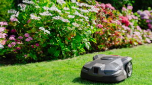 Como a tecnologia está transformando a jardinagem e paisagismo em 2025?