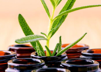 Benefícios dos óleos naturais para cuidar do cabelo
