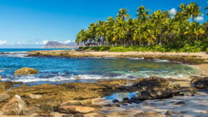 As praias menos conhecidas do Ceará que você precisa visitar em 2025