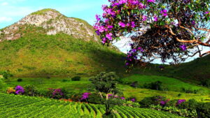 Conheça destinos brasileiros perfeitos para quem ama natureza e aventura