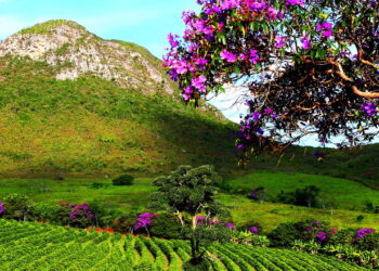 Conheça destinos brasileiros perfeitos para quem ama natureza e aventura