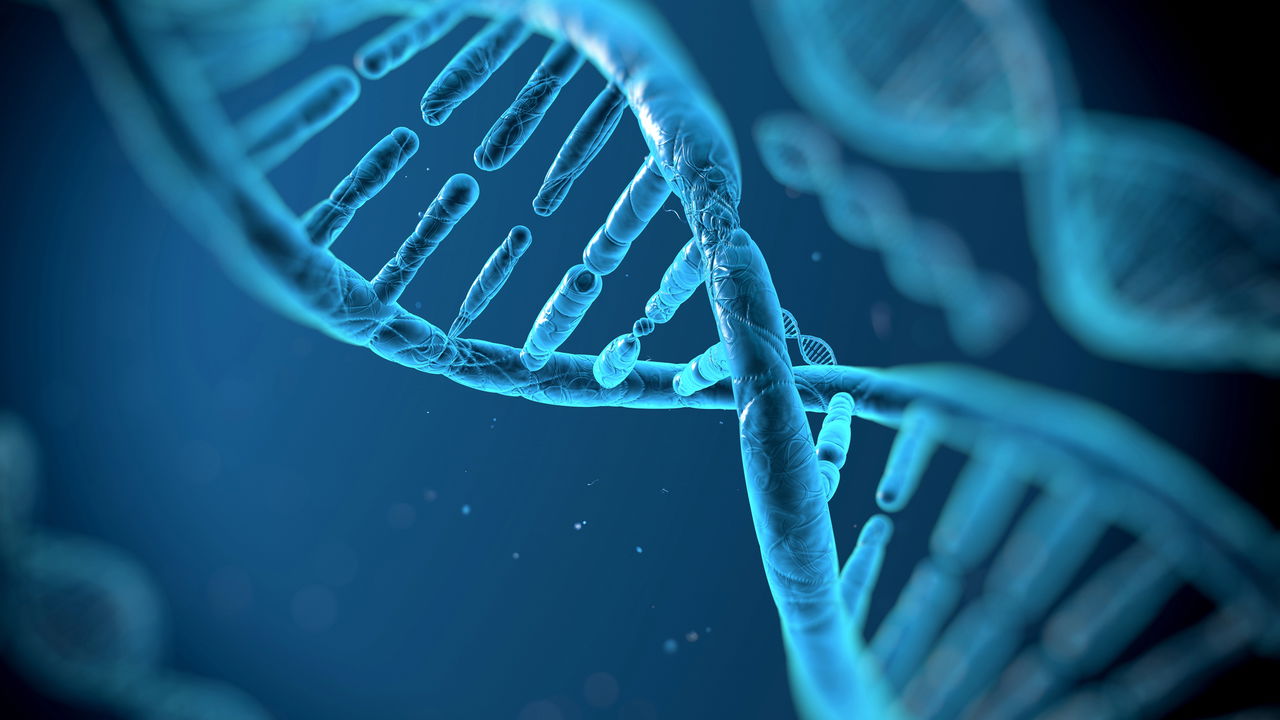 O DNA dos brasileiros revela uma verdade poderosa e emocionante