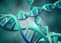 O DNA dos brasileiros revela uma verdade poderosa e emocionante