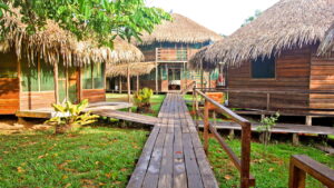Por que Manaus é um destino imperdível para os amantes da natureza