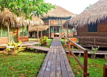 Por que Manaus é um destino imperdível para os amantes da natureza