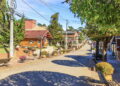 Monte Verde - Créditos: depositphotos.com / cesarvr