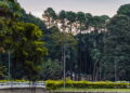 Essa cidade paulista guarda um santuário, cachoeira e até base aérea
