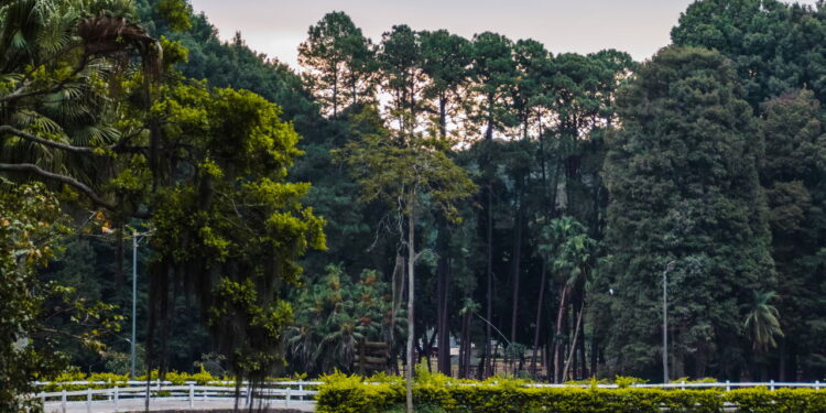 Essa cidade paulista guarda um santuário, cachoeira e até base aérea