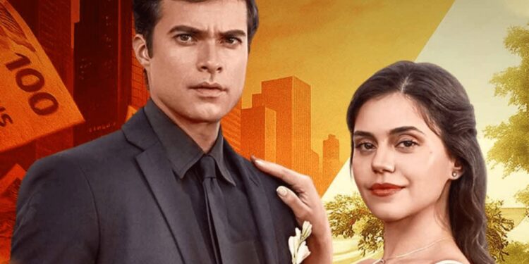 A Vida Secreta do Meu Marido Bilionário