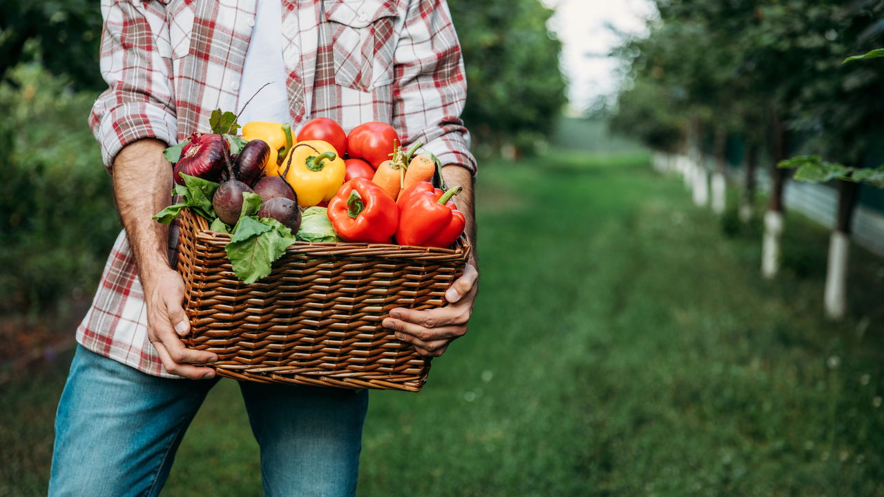 Agricultores estão adotando essa inovação para lucrar mais com menos