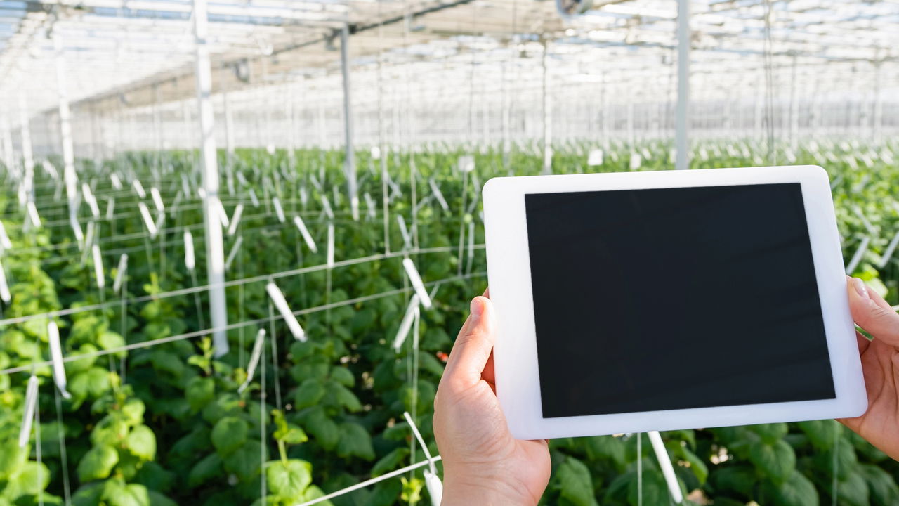 Agricultores estão adotando essa inovação para lucrar mais com menos