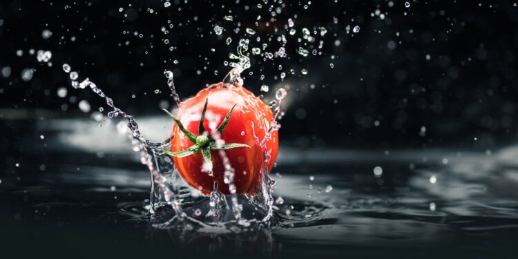 alimentos - Créditos: depositphotos.com / VadimVasenin