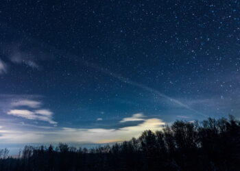 Imagem floresta com céu estrelado - Créditos: depositphotos.com / HayDmitriy