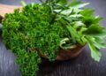 Como plantar cheiro-verde em casa com eficiência