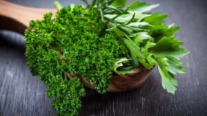 Como plantar cheiro-verde em casa com eficiência