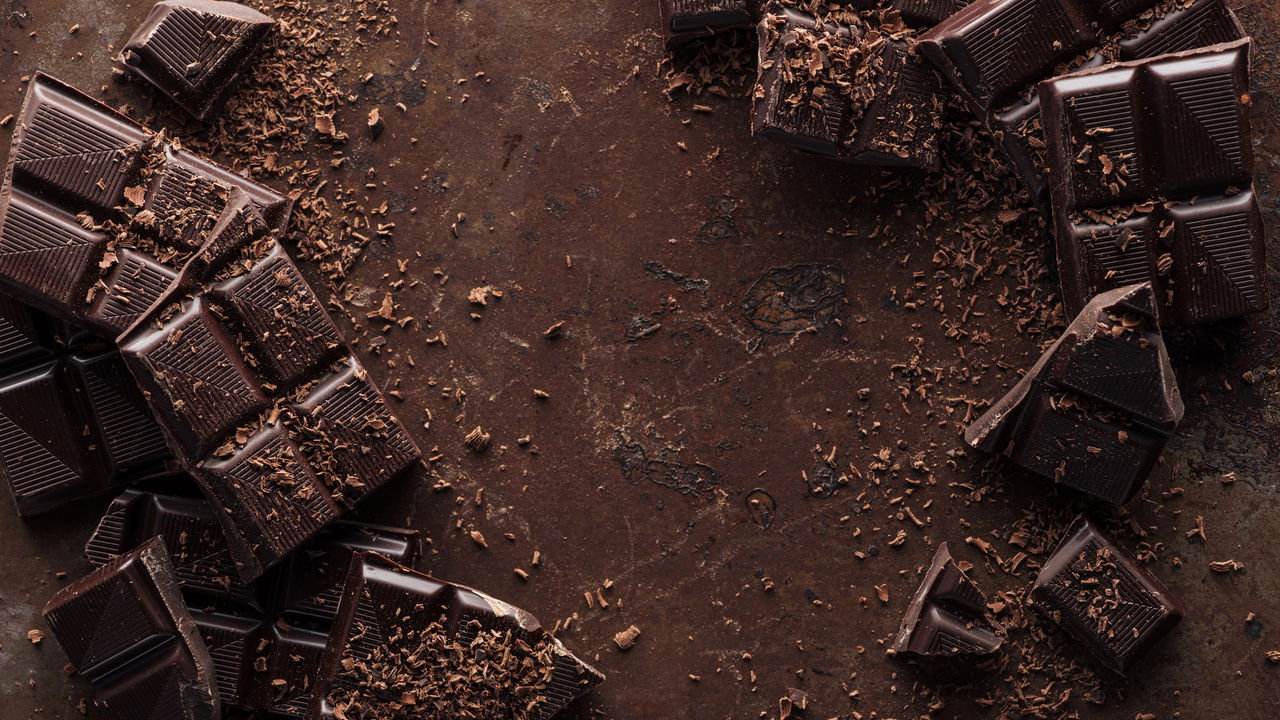 Você Sabia que o Chocolate Pode Ser Fatal para Seu Cão? Veja Porquê