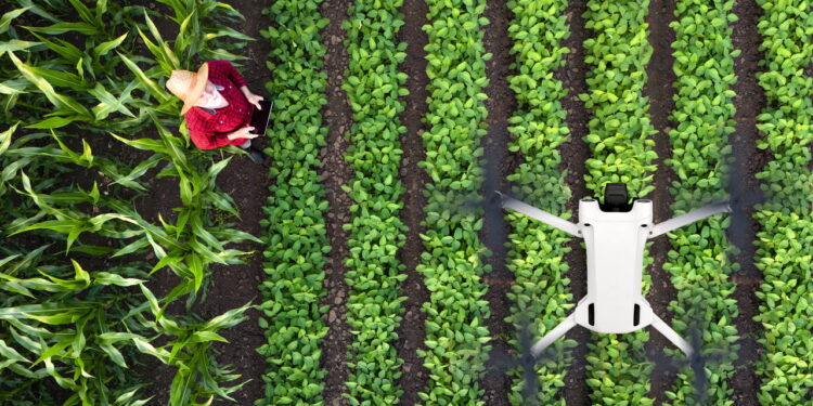 Ilustração de pessoa utilizando o drone - Créditos: depositphotos.com / alex.wolf