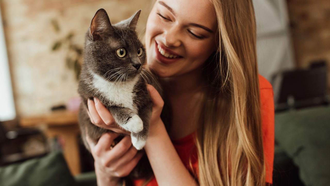Curiosidade sobre gato que todo dono precisa conhecer