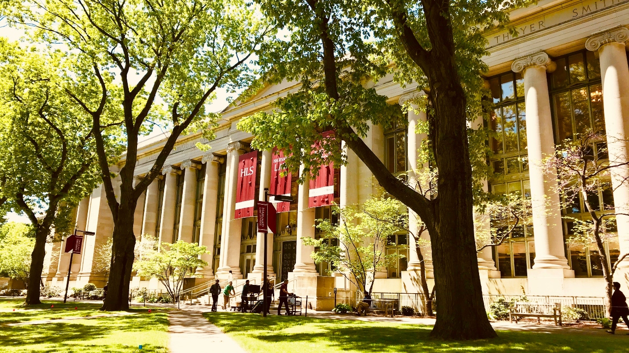 Harvard 
