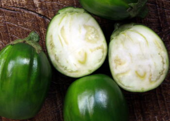 Cultive jiló em casa com esse guia simples e eficiente