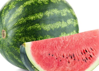 Como plantar melancia em casa com sucesso garantido