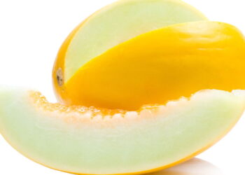O melhor guia para cultivar melão no quintal sem agrotóxicos