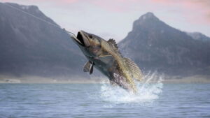 Os melhores destinos de pesca esportiva ao redor do mundo