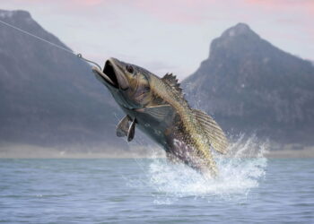 Os melhores destinos de pesca esportiva ao redor do mundo