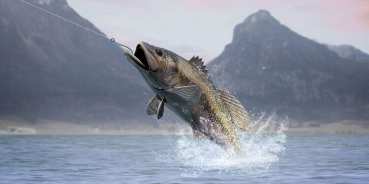 Os melhores destinos de pesca esportiva ao redor do mundo