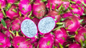 Como plantar pitaya e aproveitar todos os seus benefícios