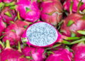 A maneira mais eficiente de plantar pitaya e colher com abundância