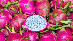 A maneira mais eficiente de plantar pitaya e colher com abundância