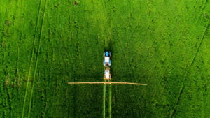 Poucas cidades no Brasil produzem sua própria comida. Quais são?