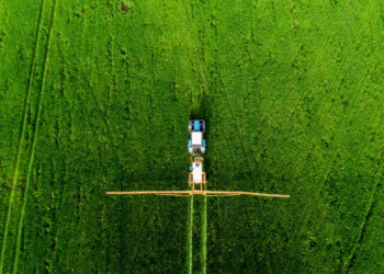 Poucas cidades no Brasil produzem sua própria comida. Quais são?